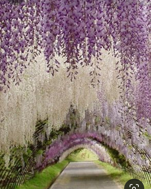 Screenshot_20230409_221311_Pinterest