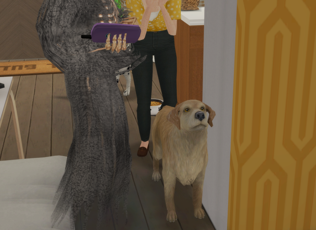 Sims2-EP9-RPC-2025-01-01-13-57-33-24