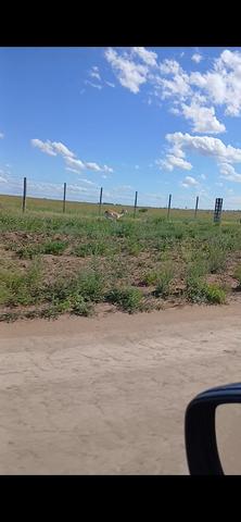 Screenshot 20251110 115955 Gallery