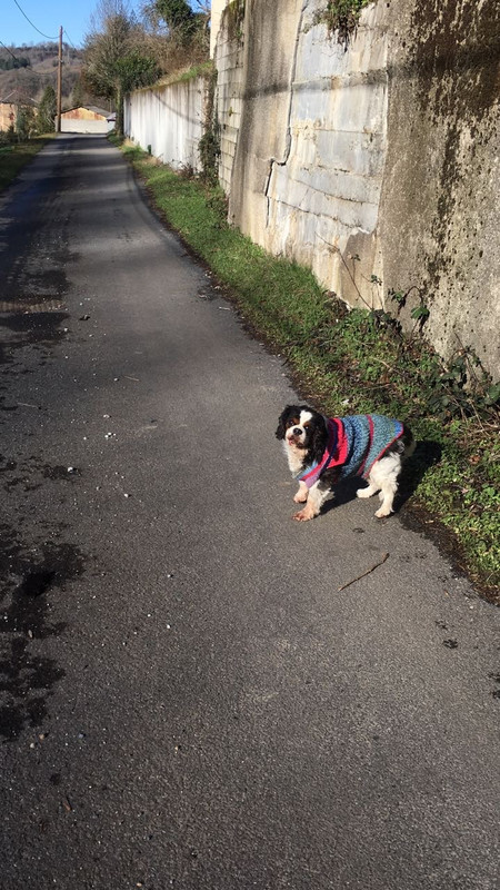 0156780E-7581-490E-AFAE-D6F01C1A6A7B