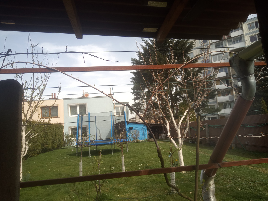 IMG_20240330_115752_576