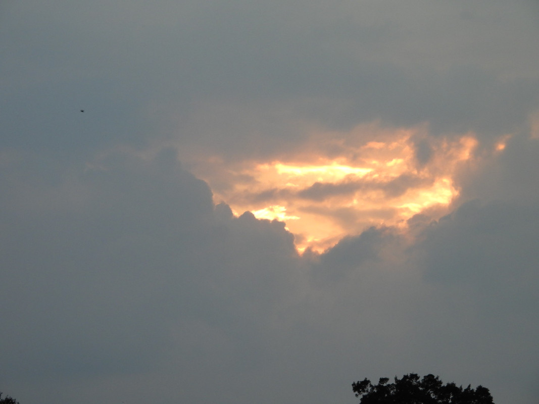 DSCN6878-1.jpg