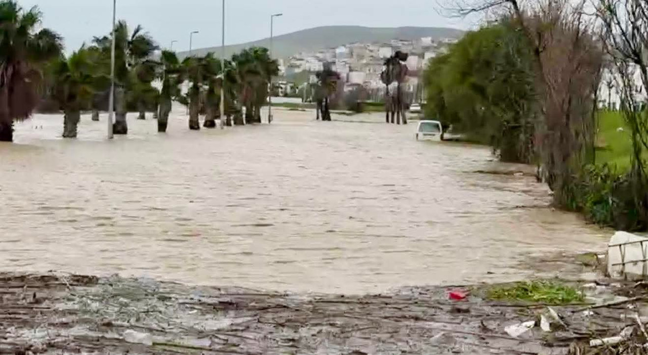 FB-IMG-1770205511482