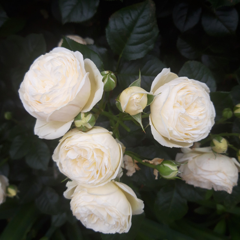 20190610_103447