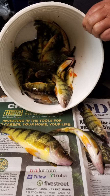 20190602_135005