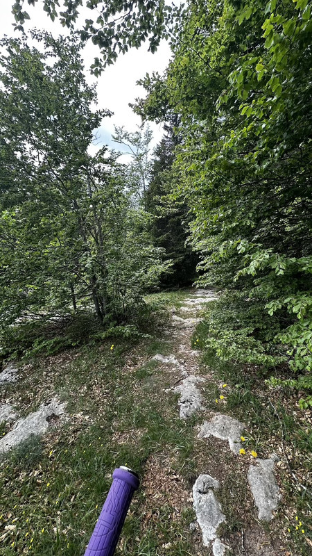 https://i.postimg.cc/TPVRRDXY/IMG-9296.jpg