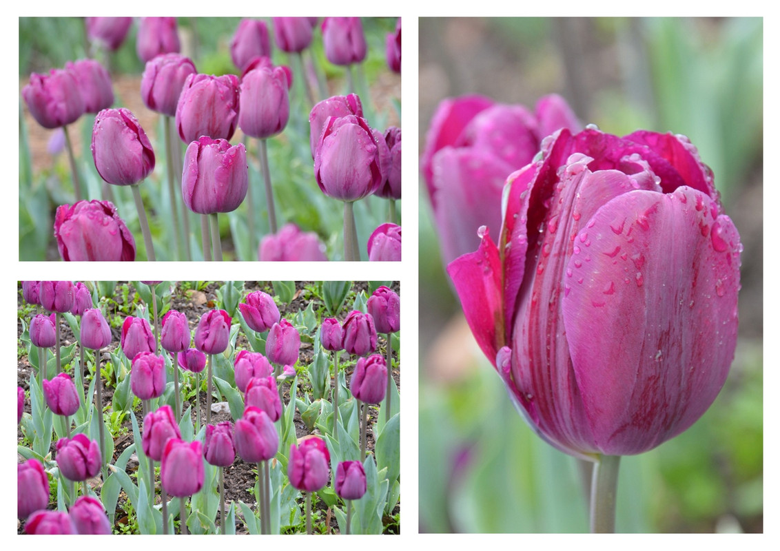 Новый коллаж.jpg 30