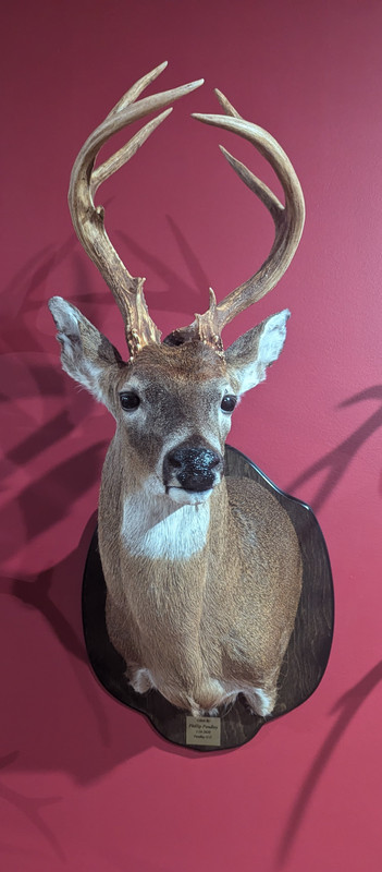 PXL_20240711_001144522~2