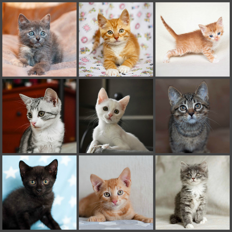 новый коллаж2