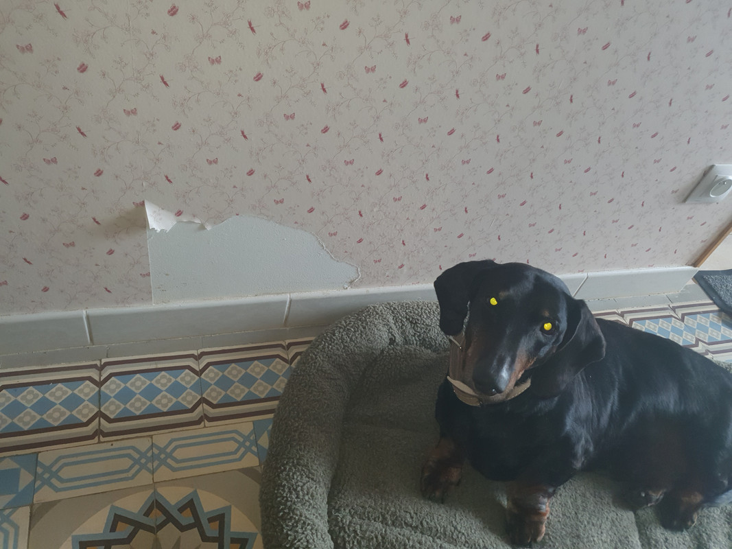 [Image: 20220128-123913.jpg]