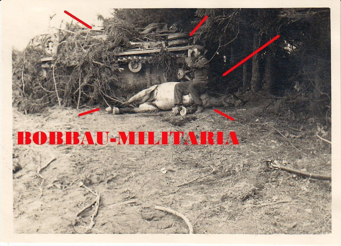 Russland Sturmgeschütz-Abt.189 STUG III Soldat a