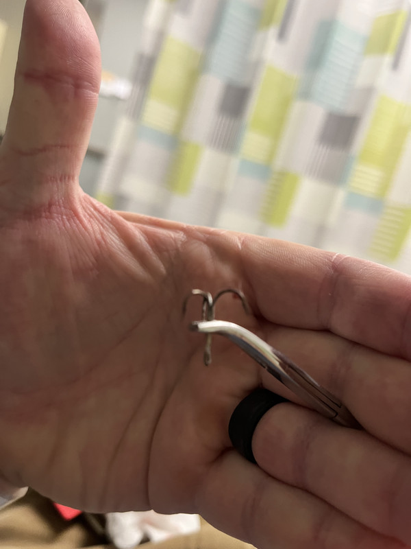 F287086E-FFD1-43D5-9DD7-84CEA9CACB94