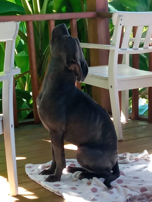 750657ED-DC4D-4E2F-8AD5-4A30E5400897