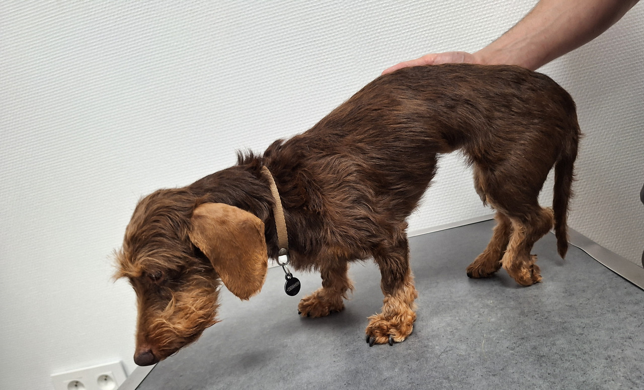 [Image: 20240717-152041.jpg]