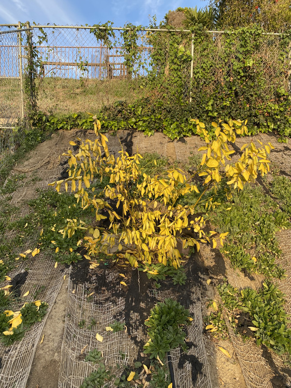 2FA65ED7-07EB-4CBD-B856-7AD26949C927