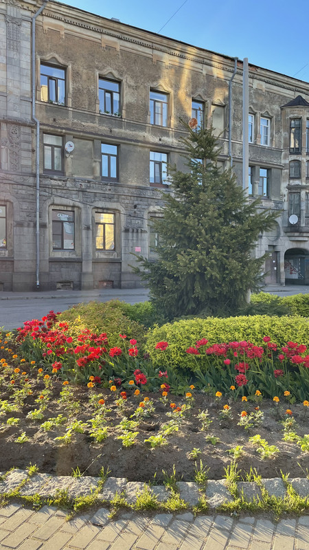 809B3971-F707-43C4-9B72-7387FF85C476