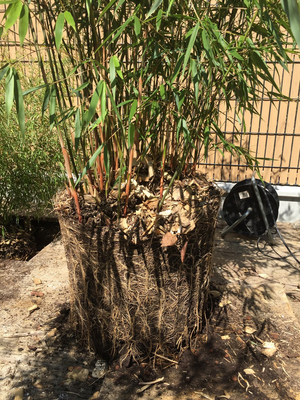 35DCE5BE-3861-433B-B5C6-B8EF8C4D5CE8