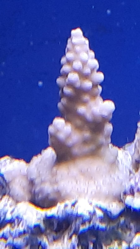 WhatsApp Image 2021-02-19 at 13.05.23 (3)