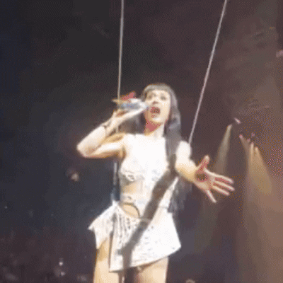 IMG-7855.gif