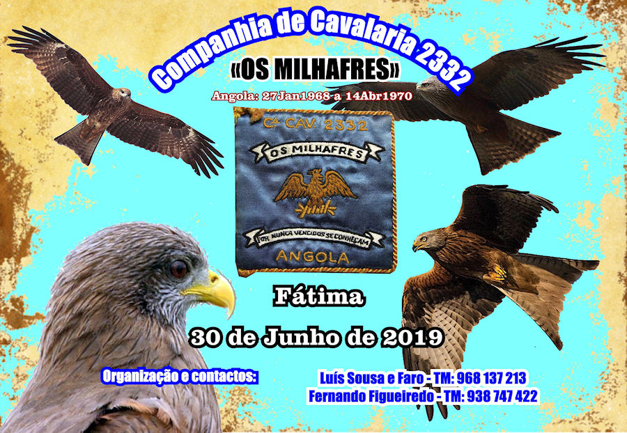CCav2332-30-Jun2019-900