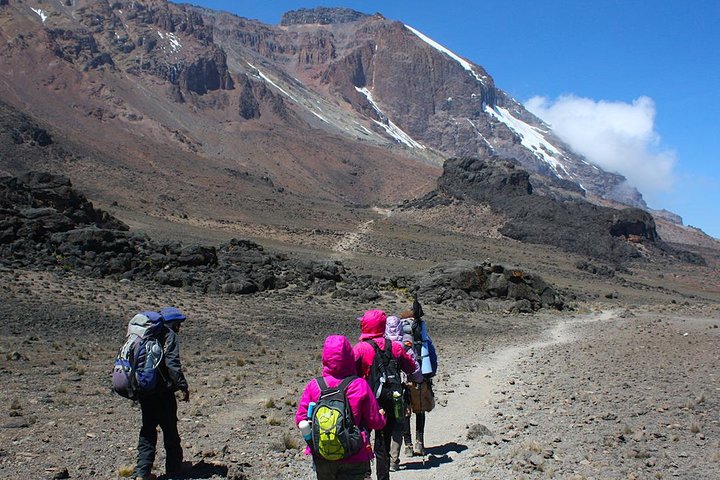 Kilimanjaro Rongai Route Climb