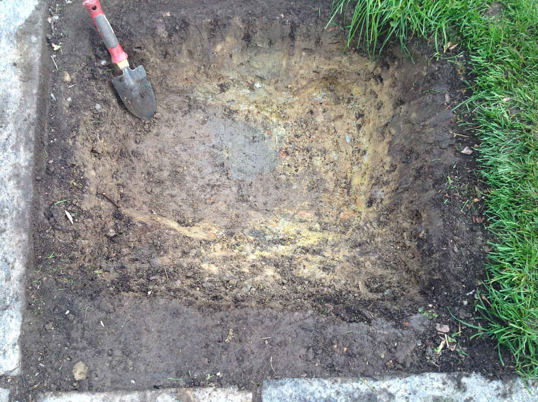 Komposter zügeln Fargesia setzen 24. 25.10 (3)