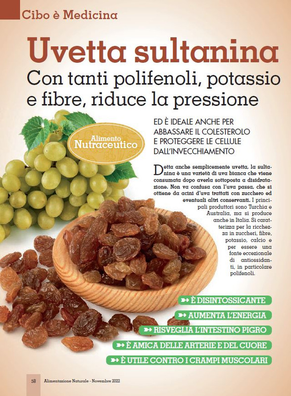 Alim Nat Nov 2022 (7)