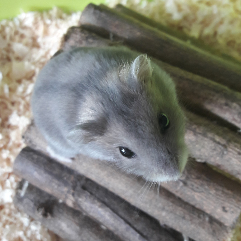 IMG_20180206_095145_143