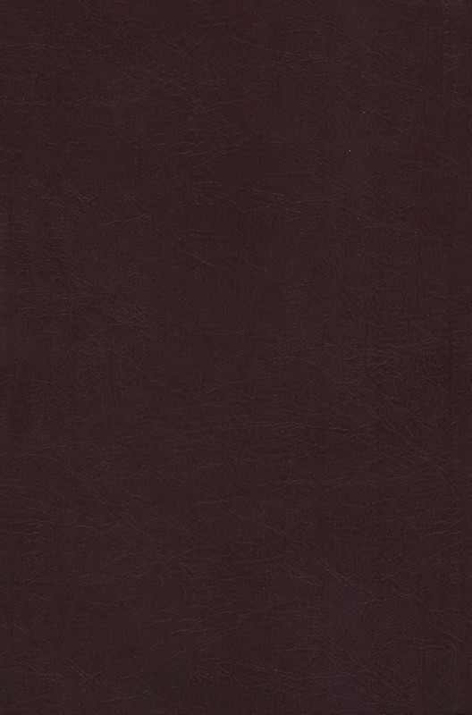 2-p0890