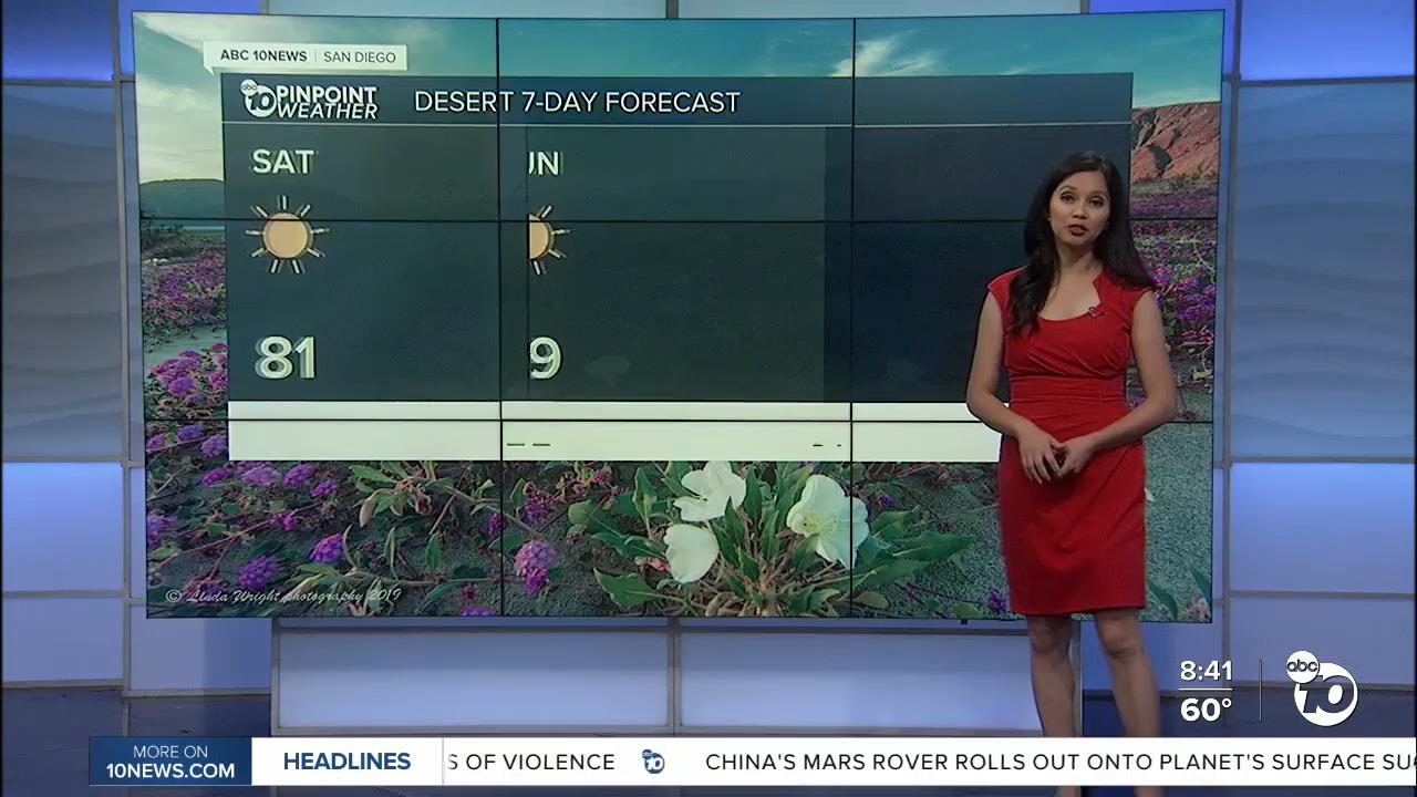 05.22 - 16.00.00 - 10News This Morning at 8am Saturday  ᴺᵉʷ. News cov....ts_snapshot_00.43.12_[2021.