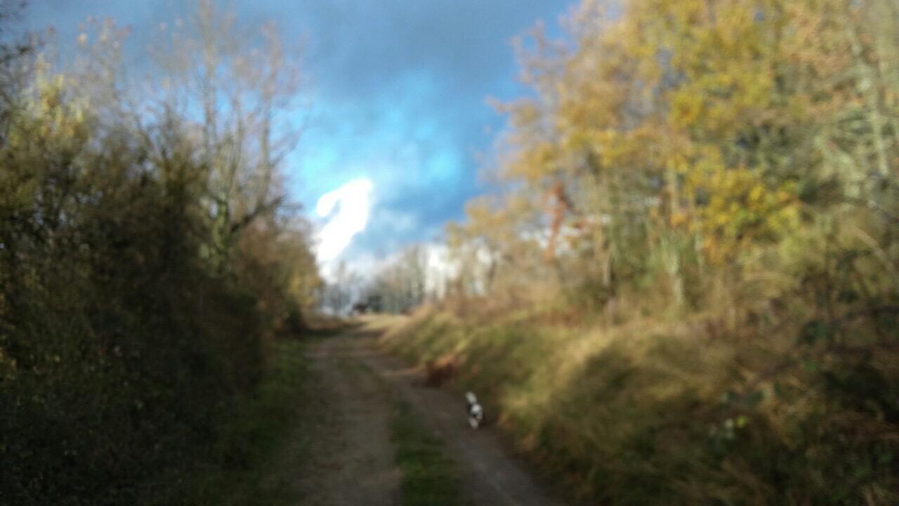 1D2DEDB9-F834-4BE4-9197-6BF4F449E8E2