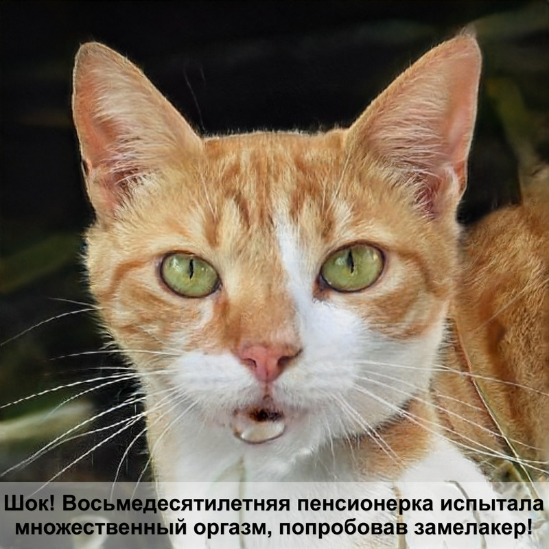 название кошек