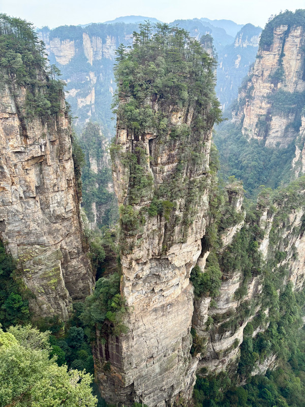 Día 7: PN Zhangjiajie -> Yuanjiajie, Yangjiajie y Tianzi - Disfrutando de China por libre en 18 días (Marzo 2026) (2)