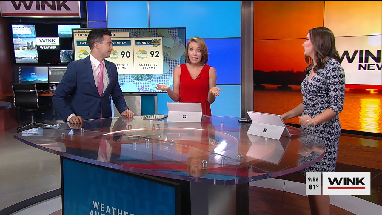 09.04 - 14.00.00 - WINK News @ 9 00AM. Local news, sports and weather.ts_snapshot_51.31.802