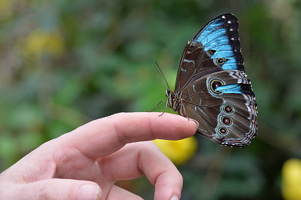 An den Beitrag angehängtes Bild: https://i.postimg.cc/TPYCSdHM/istockphoto-525980242-612x612.jpg