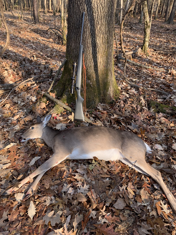 A2A8E78E-4CF5-4BA0-9DEF-6092D577D6EF