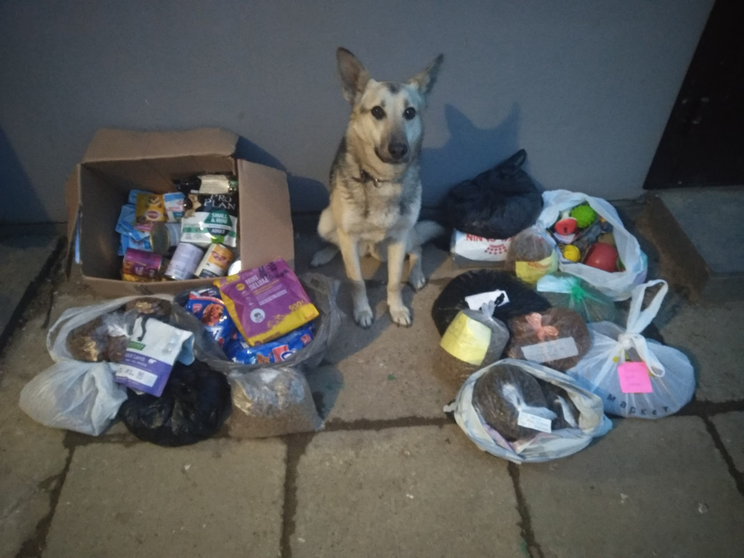 IMG_20220325_195051_HHT