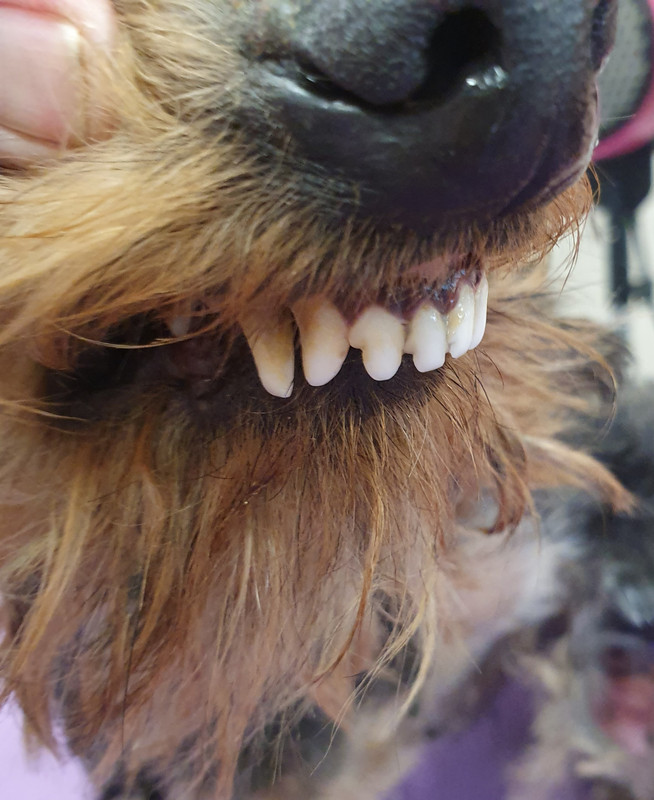 [Image: 20210108-162924.jpg]