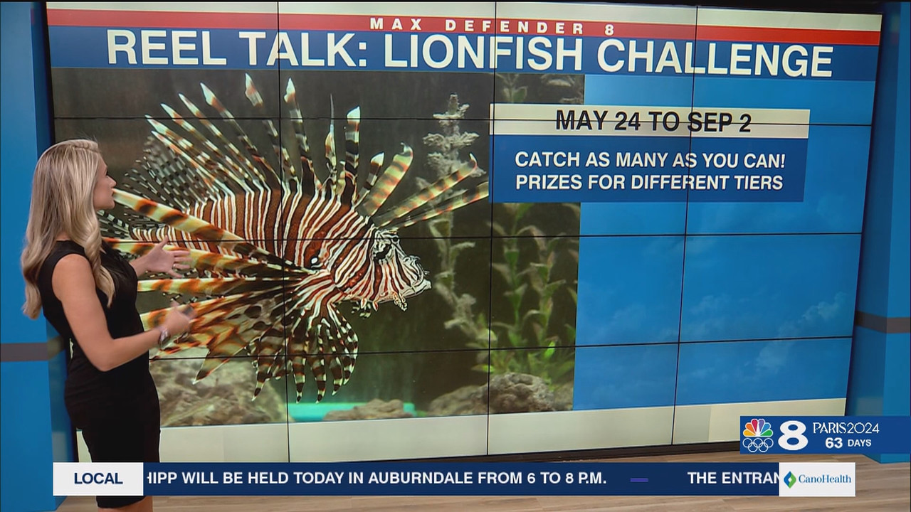 NewsChannel 8 Today at 6a_20240524_11001200.ts_snapshot_00.50.44.624