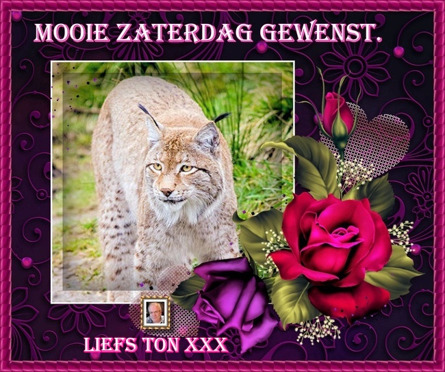 www.krabbelplaatjes.com