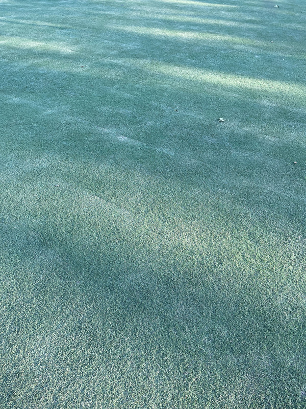 F0C468E0-39E4-409E-870B-897A45C6040B