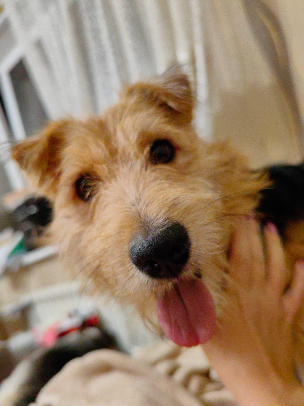 Изображение WhatsApp 2024-09-12 в 11.34.18_b96405b4