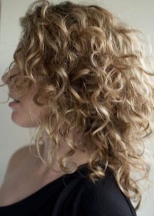 Стильные женские прически для средних волос. Фото Каскад, с челкой, кудрявые, вечерние, креативные