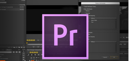 [Image: Introduction-To-Video-Editing-In-Premiere-Pro.png]
