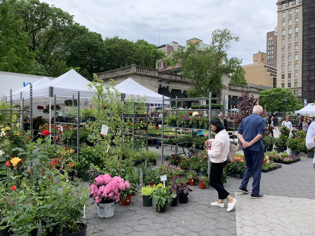 375CE626-EC73-41AF-B5DC-84DEC2584D52