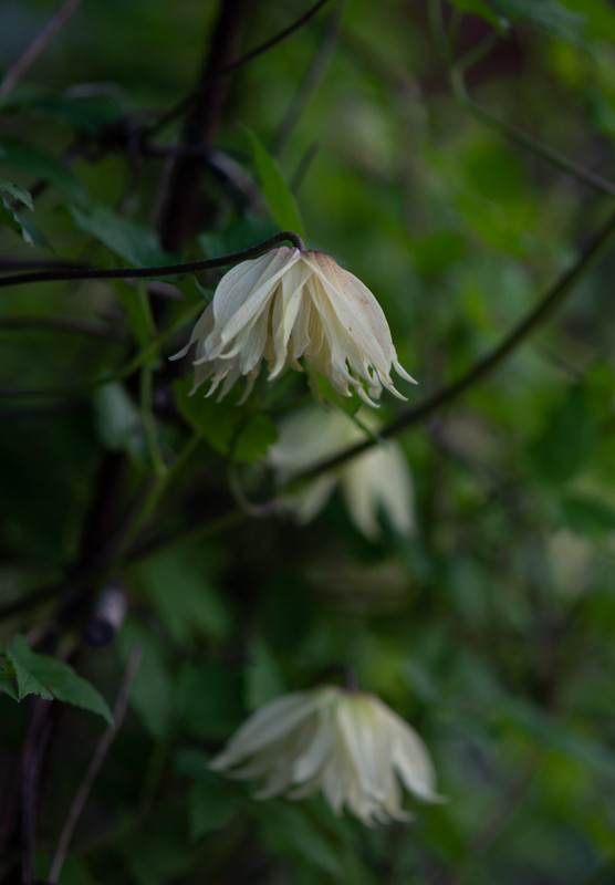 IMG-72a2f0a9ebef7e16618d27903c62585b-V