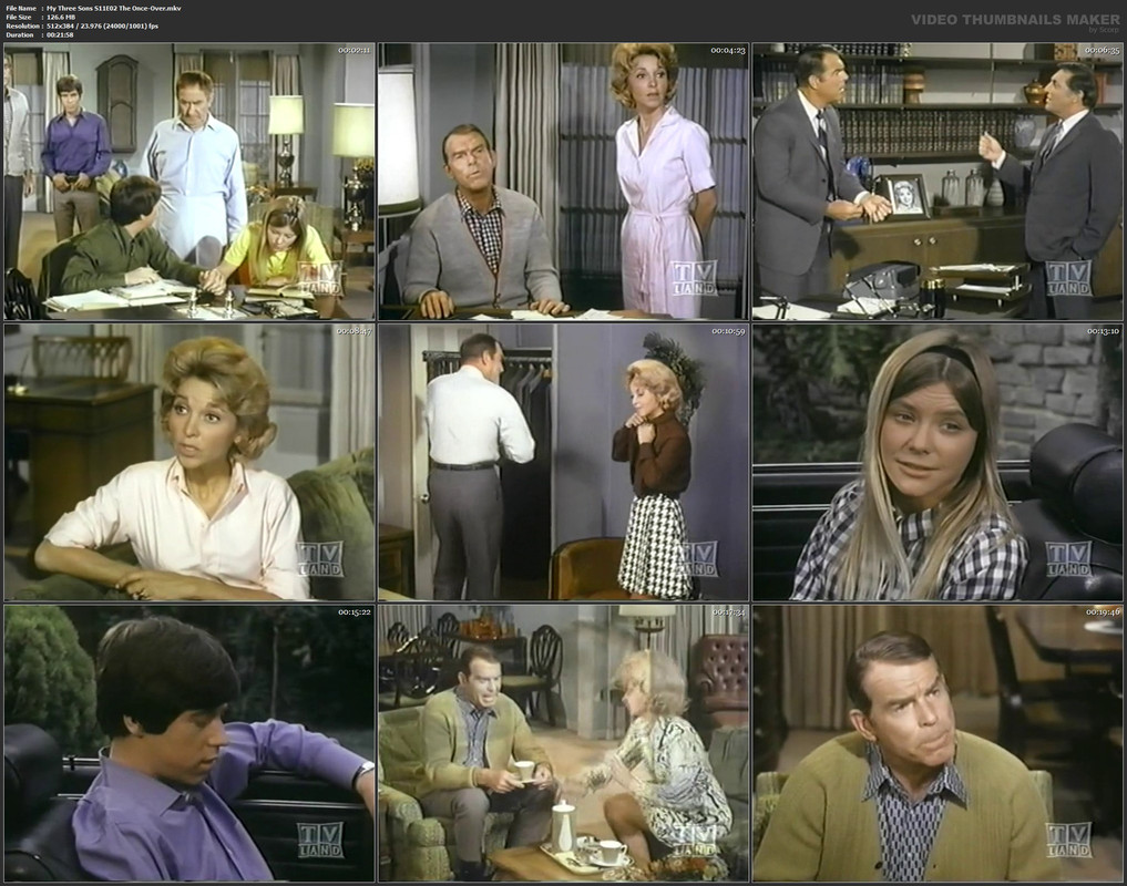 My Three Sons S11E02 The Once-Over.mkv