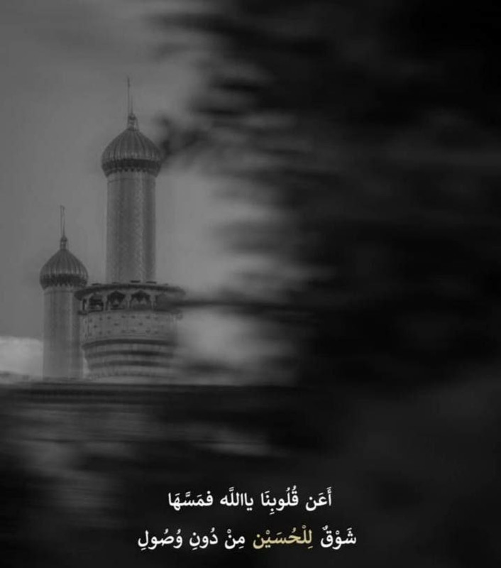FFB1-E975-65-E0-464-E-A01-C-B35-F6-FF64-FCD.jpg
