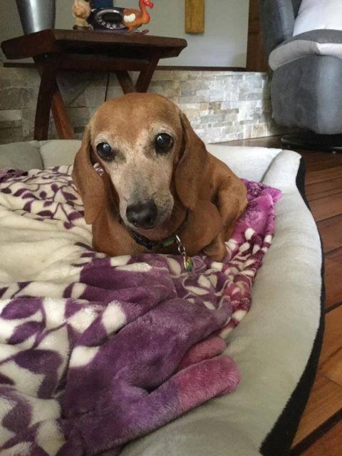 [Image: 0-B27-B3-D4-8-B89-4-DB5-A21-D-19-C27-BF7-F44-D.jpg]