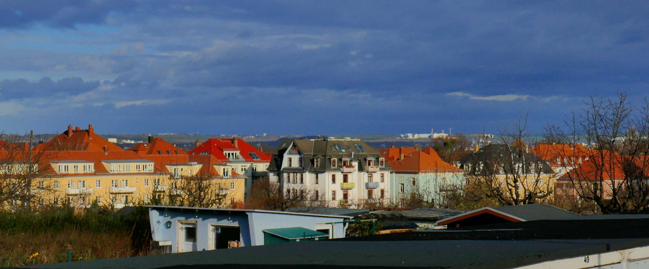 P1130914.jpg